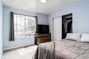 Upstairs Bedroom with baseboards, multiple windows, and carpet
