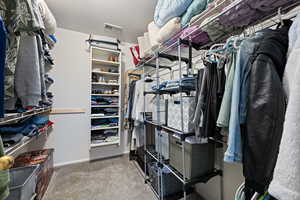 Spacious closet with carpet and visible vents