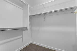 Walk in closet with dark colored carpet
