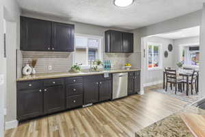 Kitchen featuring tasteful backsplash, a sink, light wood-style flooring, and dishwasher