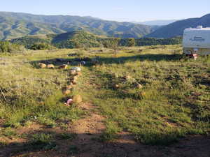 Mountain view