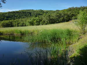 Photo 10 of 5833 E OLD SNOWBASIN RD