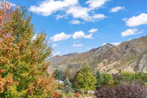 Mountain view