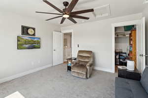 Living area with carpet floors, a ceiling fan, baseboards, and attic access