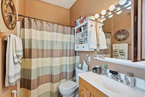 Full bath featuring vanity, toilet, and a shower with shower curtain