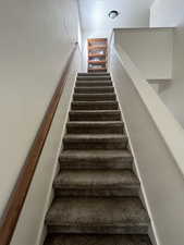 Stairs with carpet flooring