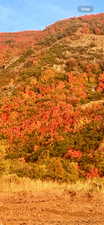 View of mountain feature