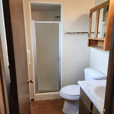 Full bath featuring vanity, toilet, and a shower stall