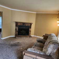 Living room featuring crown molding, carpet flooring, baseboards, and a fireplace