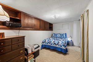 Carpeted bedroom featuring wooden walls