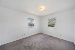 Unfurnished room with visible vents, carpet flooring, baseboards, and a healthy amount of sunlight