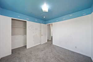 Unfurnished bedroom with carpet floors, baseboards, and a closet