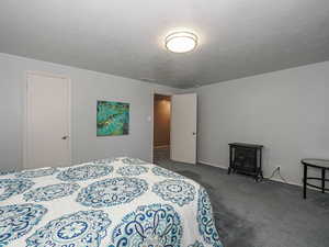 Carpeted bedroom featuring a wood stove