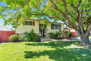 Raised ranch featuring fence, a front lawn, and brick siding