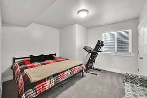 Bedroom with baseboards, a textured ceiling, carpet floors, and visible vents