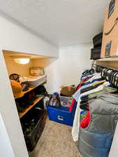 Spacious closet featuring carpet flooring