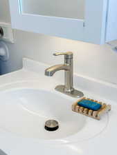 Details featuring a sink
