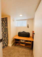 Sitting room featuring carpet flooring and a textured ceiling