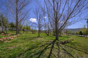 View of yard with a rural view