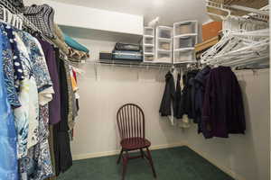 Walk in closet with carpet