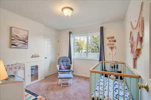 Carpeted bedroom with baseboards