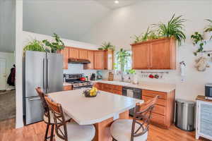 Kitchen featuring appliances with stainless steel finishes, a breakfast bar, a sink, high vaulted ceiling, and under cabinet range hood