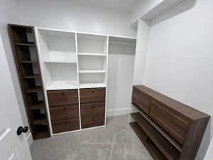 Spacious closet featuring carpet flooring