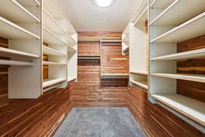 View of walk in closet