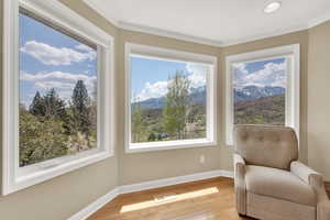 Living area featuring baseboards, a mountain view, crown molding, and wood finished floors