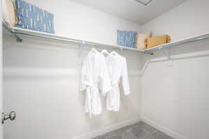 Spacious closet featuring carpet