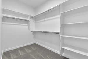 Spacious closet with dark carpet
