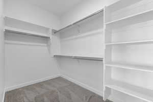 Walk in closet with carpet