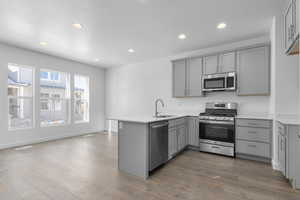 Kitchen with appliances with stainless steel finishes, gray cabinetry, a sink, a peninsula, and recessed lighting
