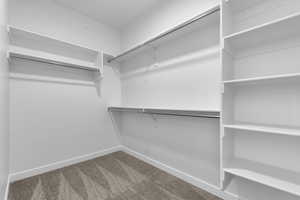 Walk in closet featuring carpet