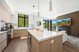Kitchen featuring light brown cabinetry, appliances with stainless steel finishes, a large fireplace, hardwood / wood-style floors, and modern cabinets