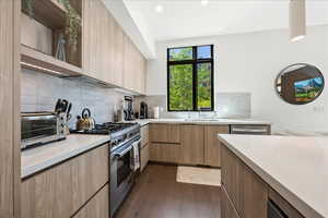 Kitchen with dark wood-style flooring, modern cabinets, a sink, light countertops, and stainless steel appliances