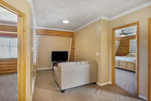 Carpeted living room featuring crown molding, log walls, ceiling fan, and baseboards