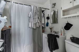Bathroom featuring vanity, radiator, a shower with shower curtain, and toilet