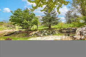 View of back yard