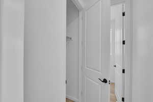 Spacious closet featuring light wood finished floors