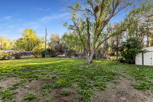 View of yard with fence, a storage unit, and an outdoor structure