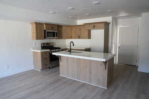 Kitchen featuring a sink, light wood-style flooring, an island with sink, and stainless steel appliances