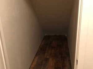 Closet / Storage area under the stairs
