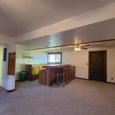 Lower level family room/wet bar with walkout basement