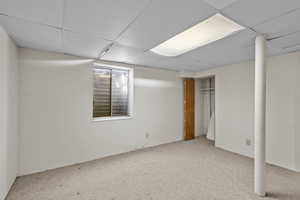 Basement with carpet floors and a drop ceiling