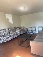 Living room featuring wood finished floors