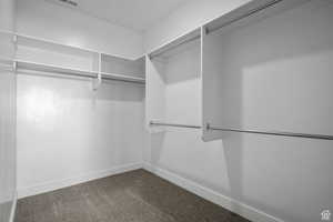 Spacious closet featuring dark colored carpet