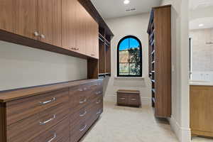 Spacious closet with visible vents, a sink, arched walkways, and light carpet