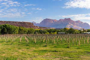 View of mountain feature featuring a rural view