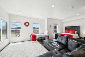 Bedroom with baseboards, multiple windows, and recessed lighting